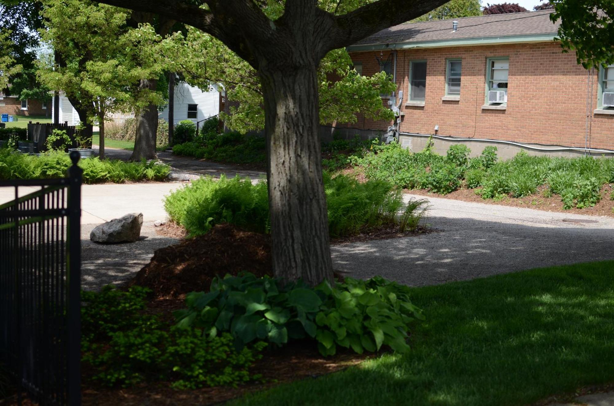 Ludington Blue Spruce Inn Екстер'єр фото